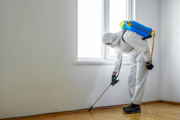 Best Affordable Pest Control Services  in Tigard, OR