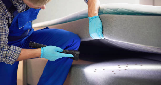 Best Emergency Pest Control  in Tigard, OR