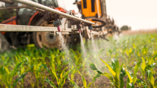 Best Commercial Pest Control Services  in Tigard, OR